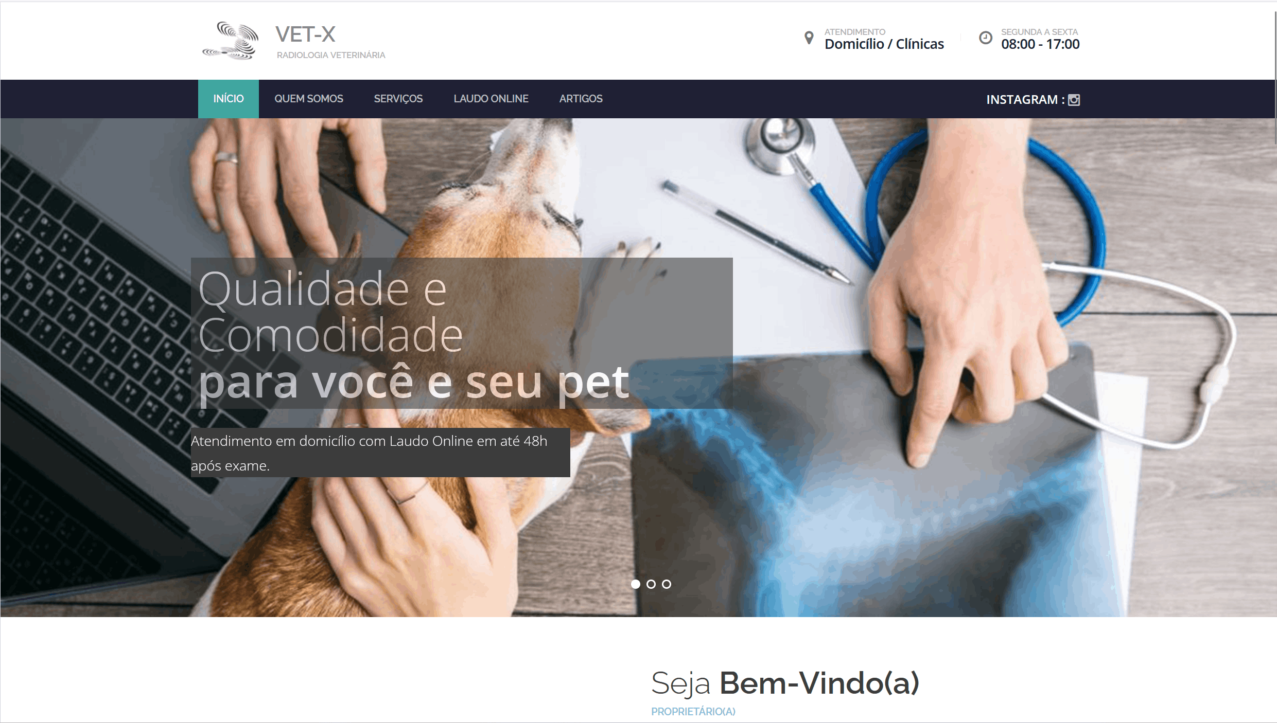 Vet-X - Plataforma Veterinária